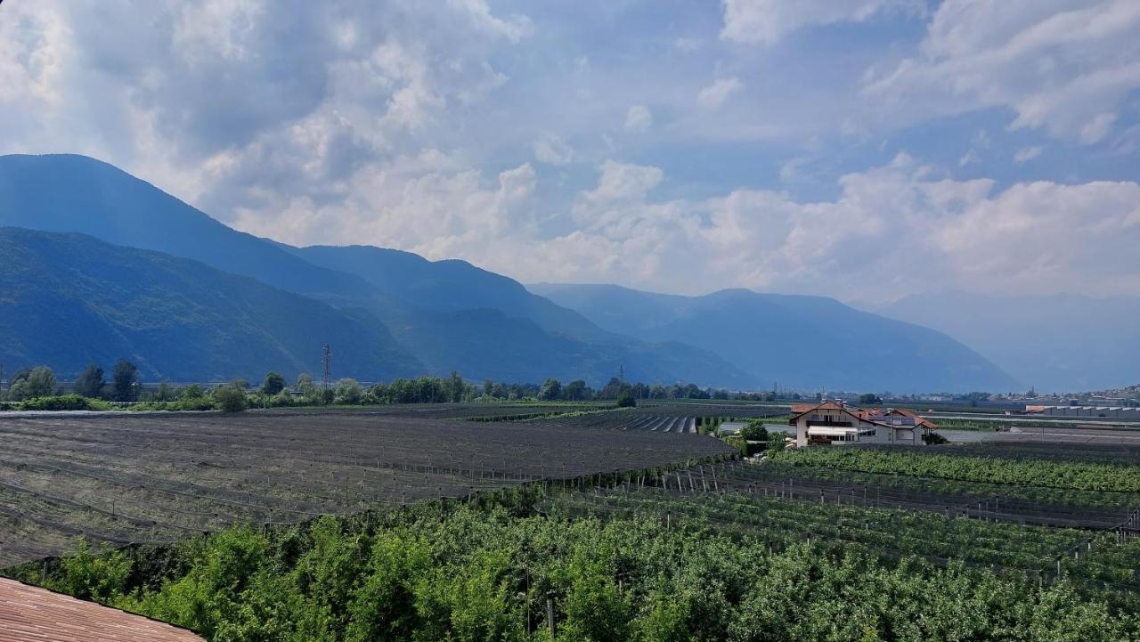 Mittelbergerhof Ferienwohnungen Vilpiano Dış mekan fotoğraf